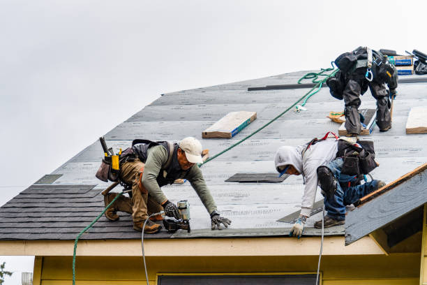 Professional Emergency Roof Repair technician working in Dryden, MI